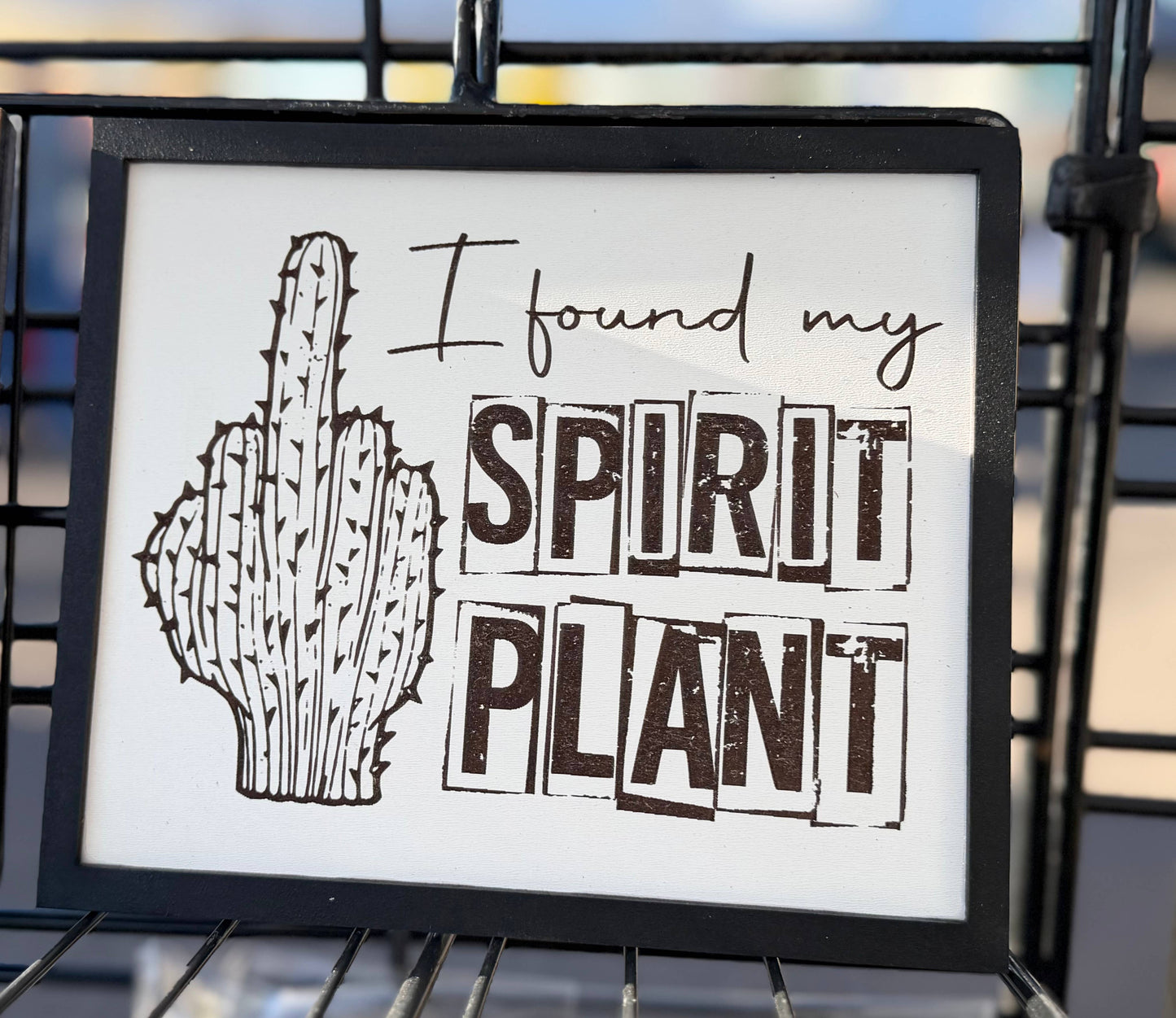 I found my spirit plant, plant sign, plant, funny