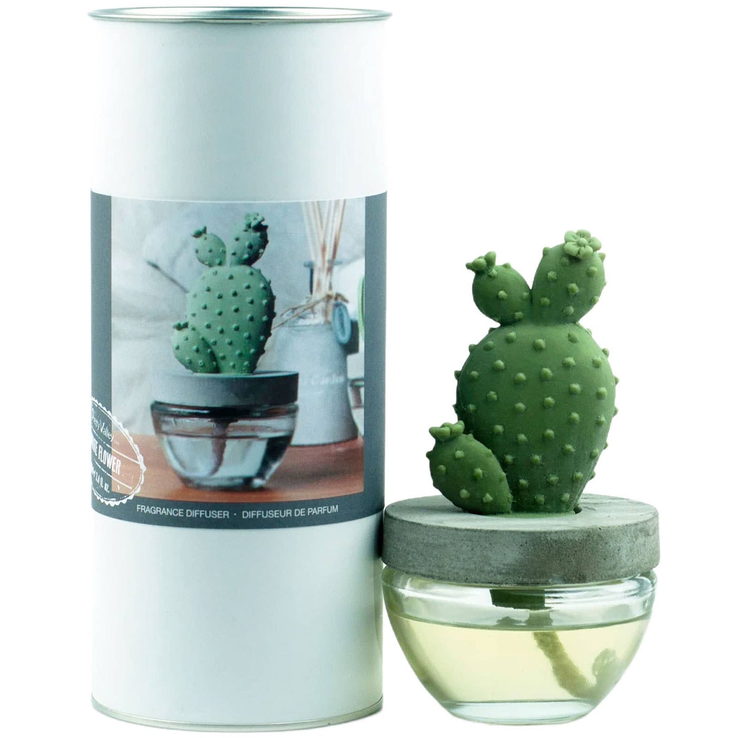 Cactus Ceramic Diffuser Gift Set - 100ml/3.38fl oz for Decor