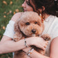 "Paws" Natural Hues with Silver & Paw Accents Hair Tie Bracelet