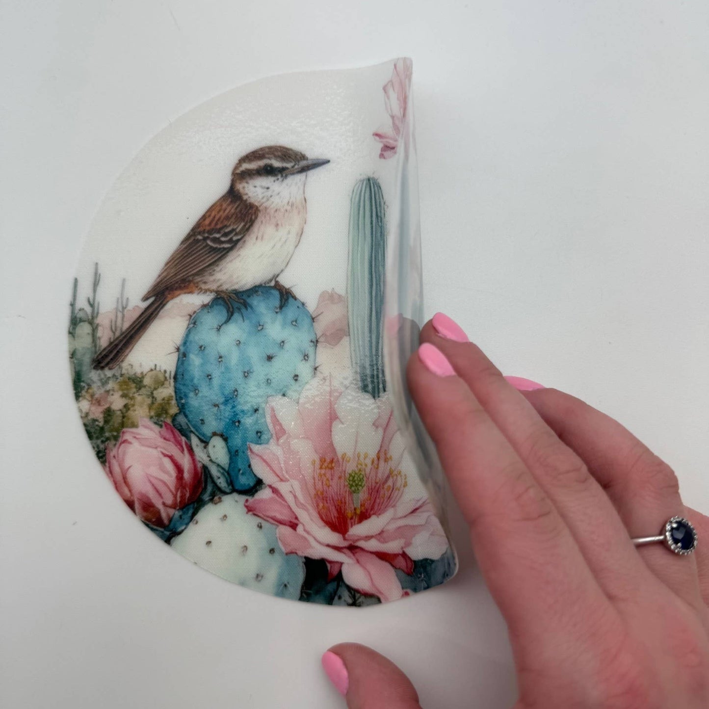 Arizona Bird & Flower