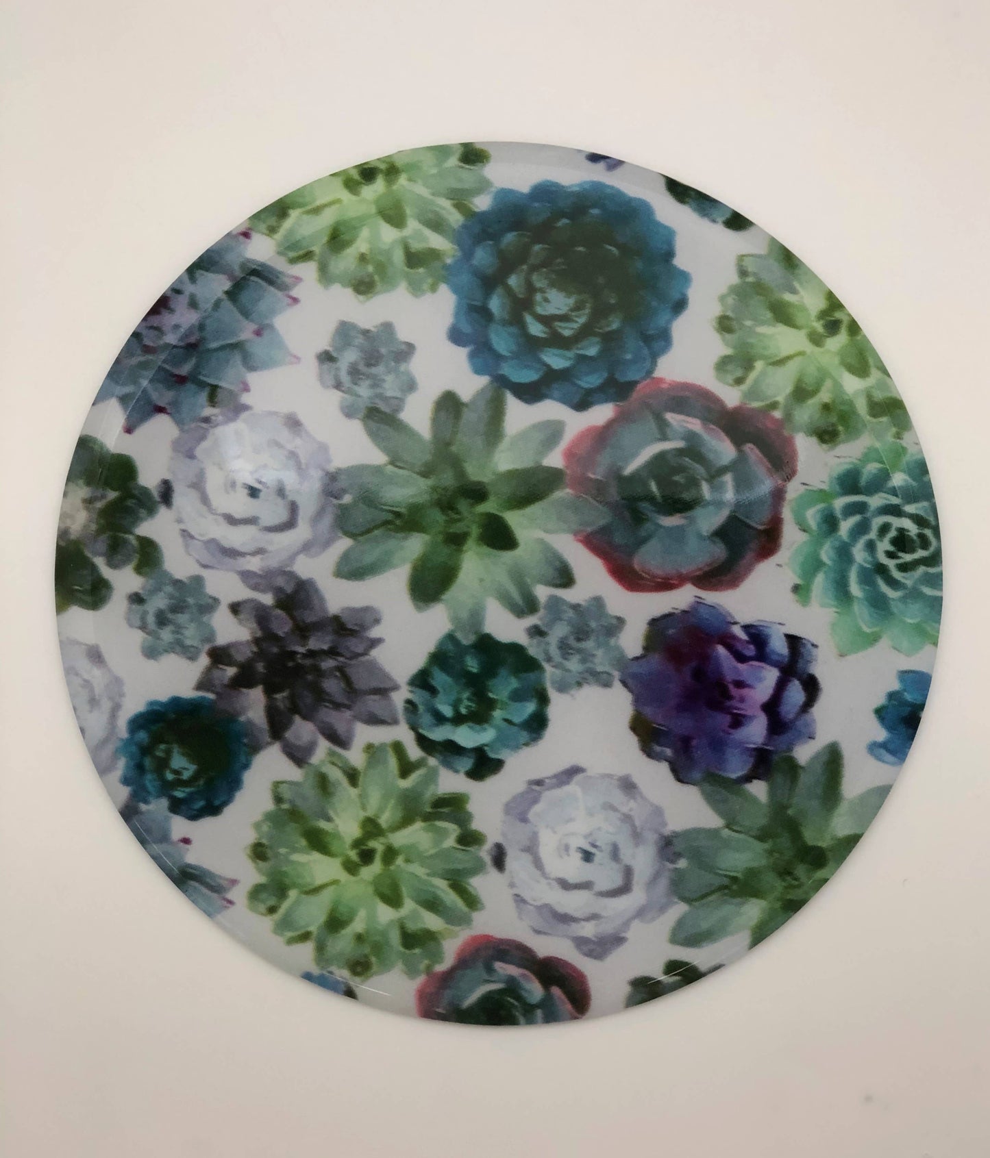 Succulant