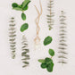 Eucalyptus Mint Car Diffuser – Clean & Fresh