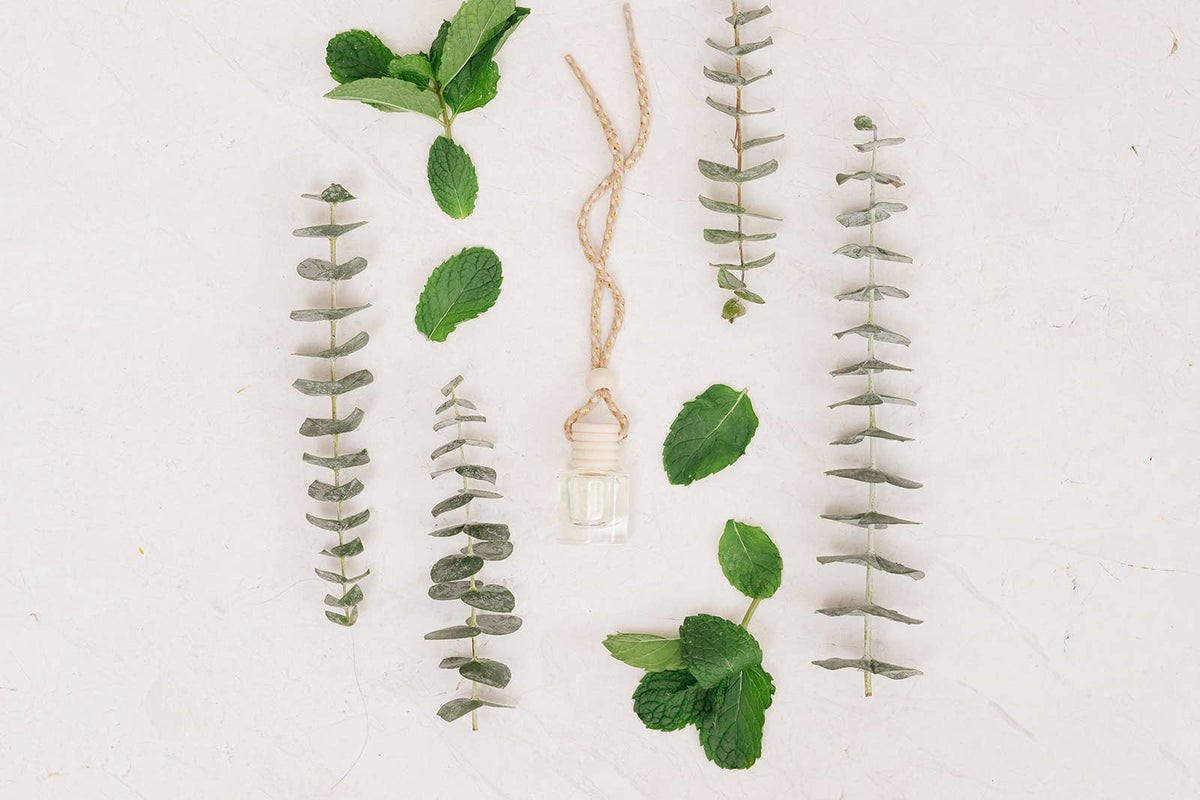 Eucalyptus Mint Car Diffuser – Clean & Fresh