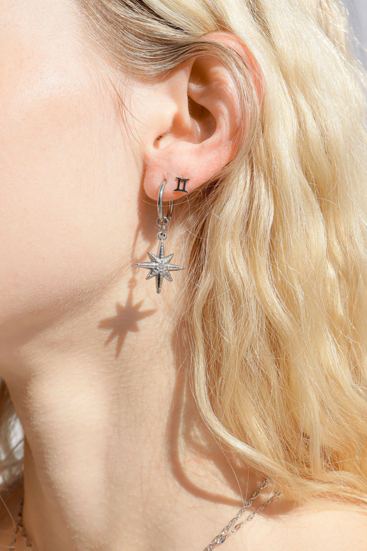 18K Gold PVD Stainless Steel Zodiac Stud Earrings
