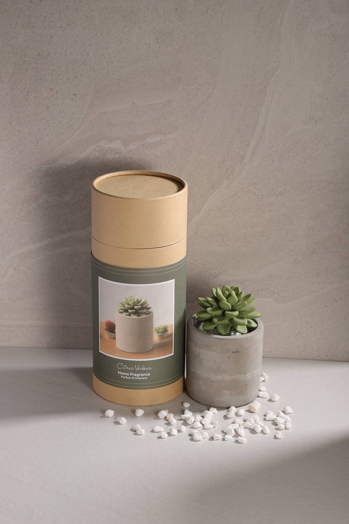 Succulent in Planter Diffuser Gift Set - Citrus Verbena