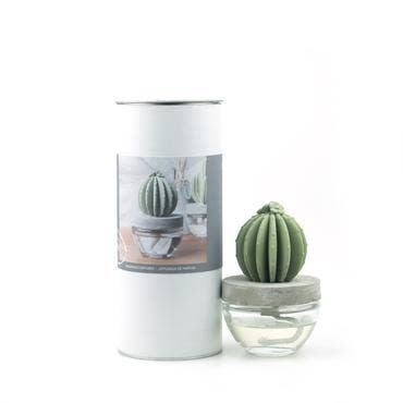 Cactus - Barrel Cactus ceramic diffuser gift set - 100ml