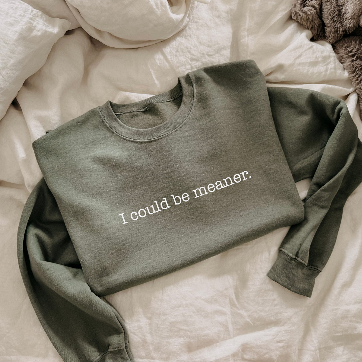 I Could Be Meaner Sweatshirt | Funny Sarcastic Crewneck