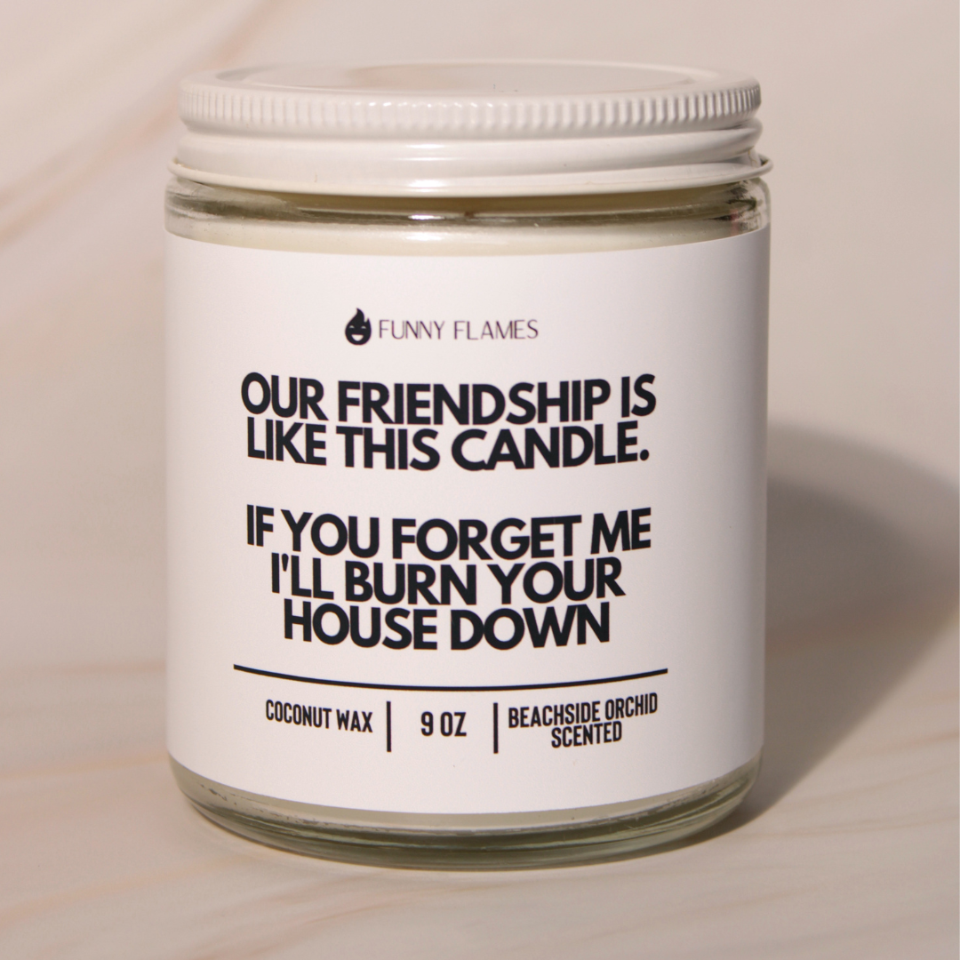 Our Friendship Is Like This Candle if you forget about me...