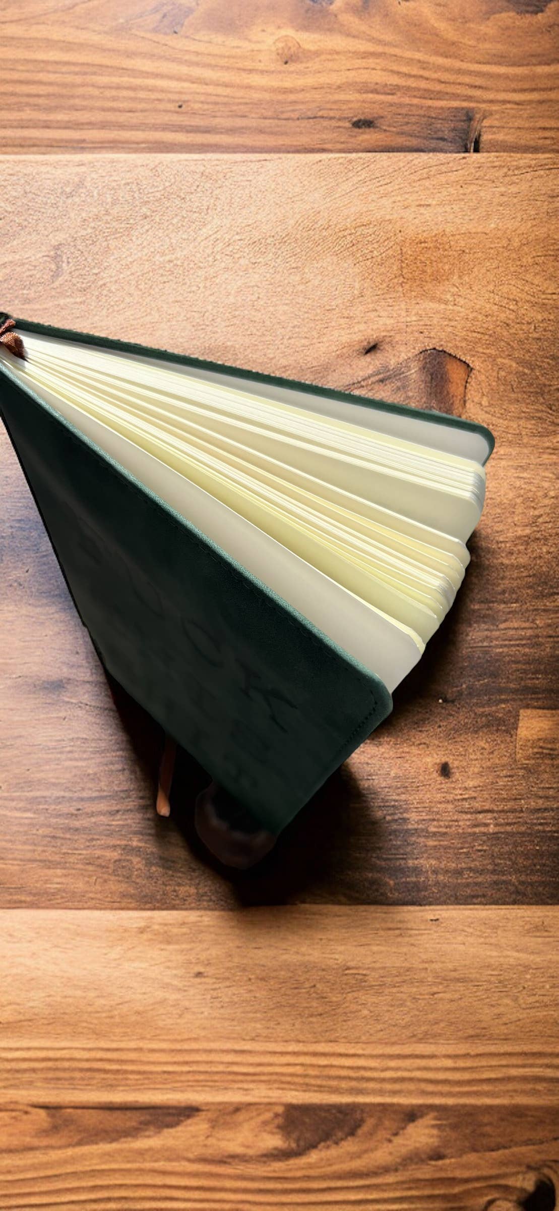 Journal Fuck this Shit Journal