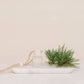 Frosted Birch Car Diffuser – Juniper, Pine & Crisp Air