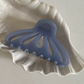 Glossy Shell Shape Claw Clips (CUHO)