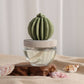 Cactus - Barrel Cactus ceramic diffuser gift set - 100ml