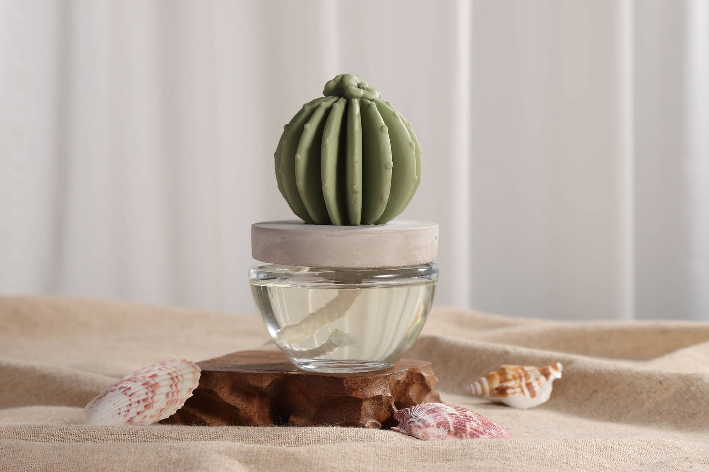 Cactus - Barrel Cactus ceramic diffuser gift set - 100ml