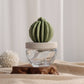 Cactus - Barrel Cactus ceramic diffuser gift set - 100ml
