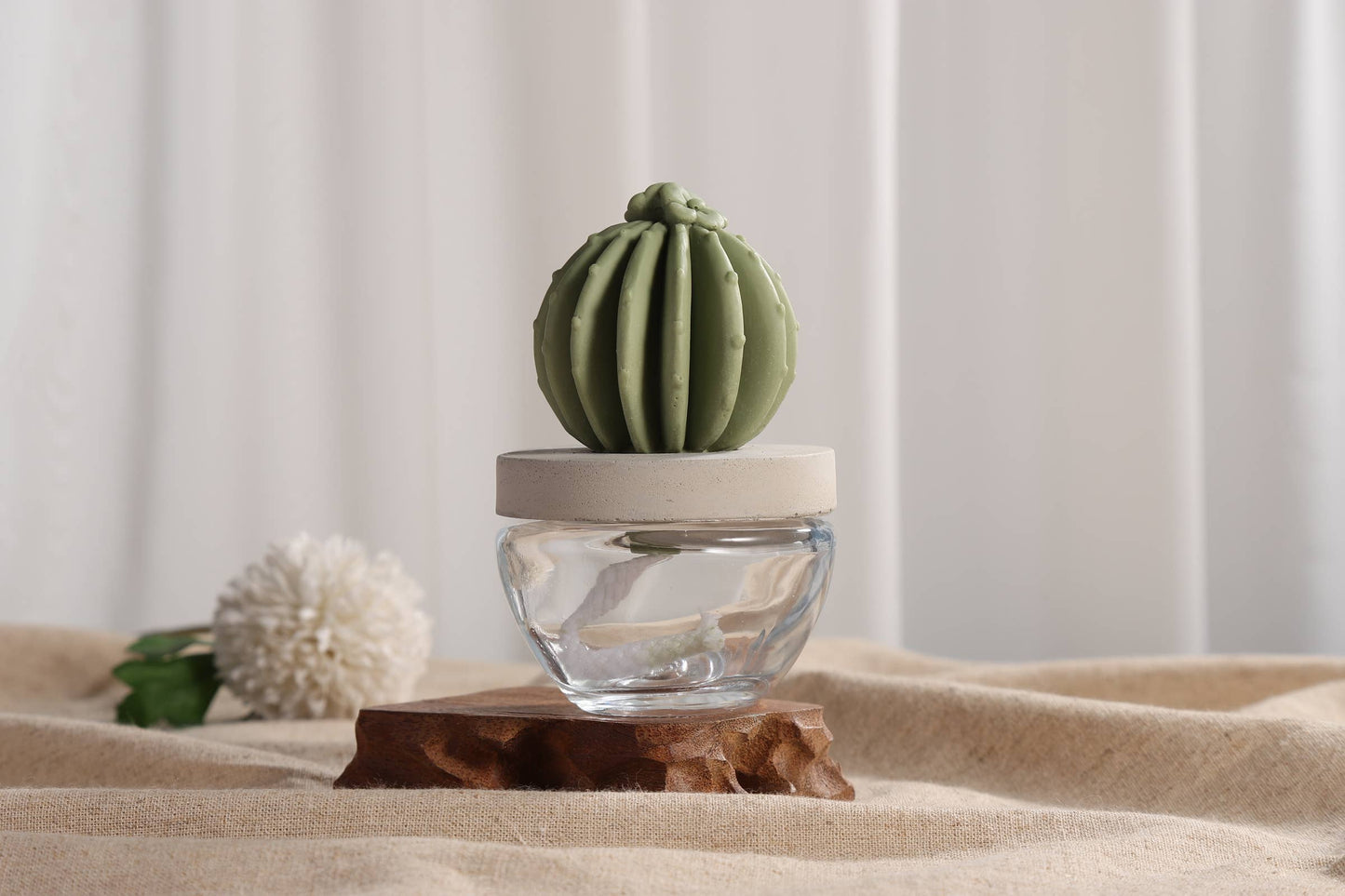 Cactus - Barrel Cactus ceramic diffuser gift set - 100ml