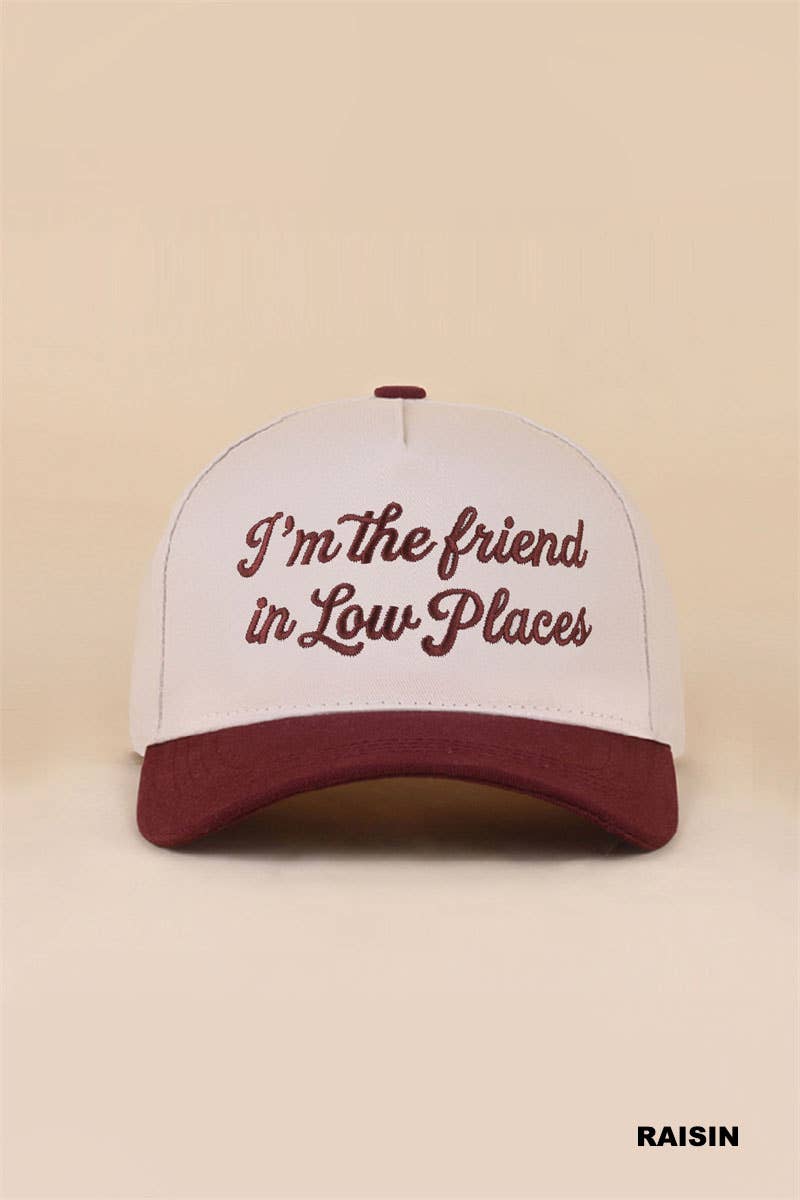 Besties'/I'm The Friend In Low Places two tone snapback hat