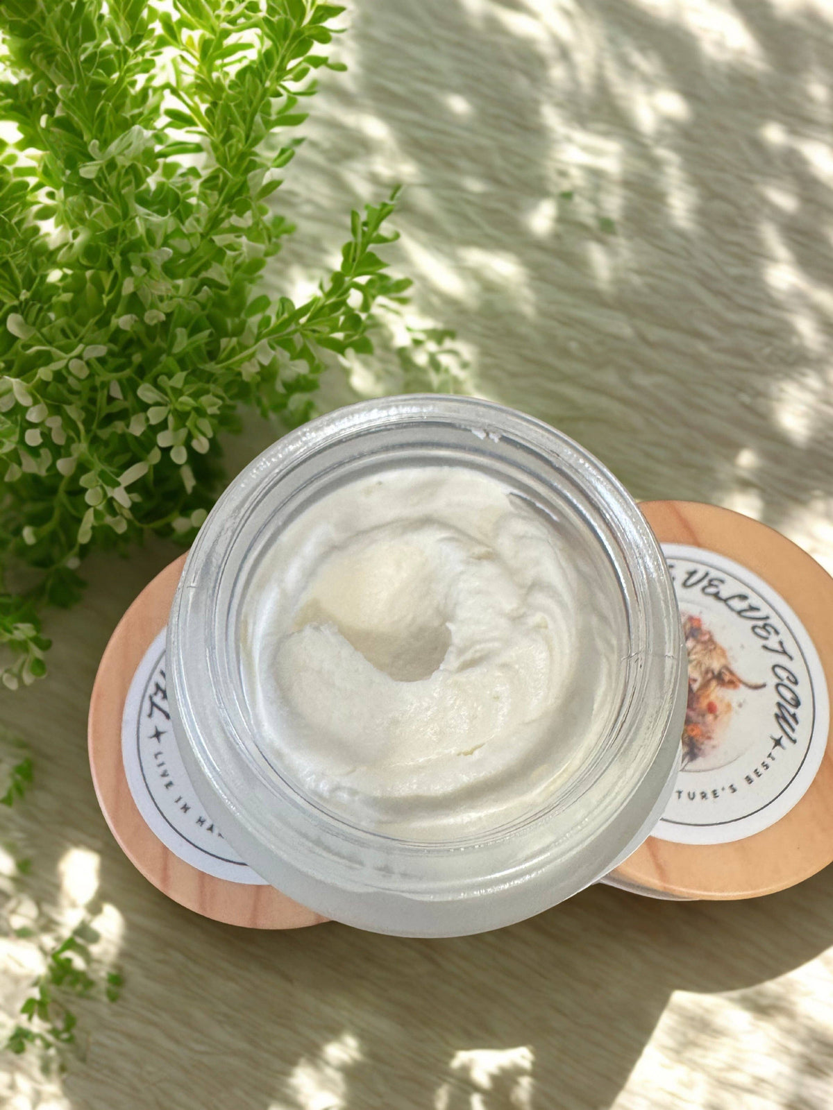 Radiance Renewal Tallow Face Cream | Bakuchiol, Moringa, Vitamin E & Hyaluronic Acid