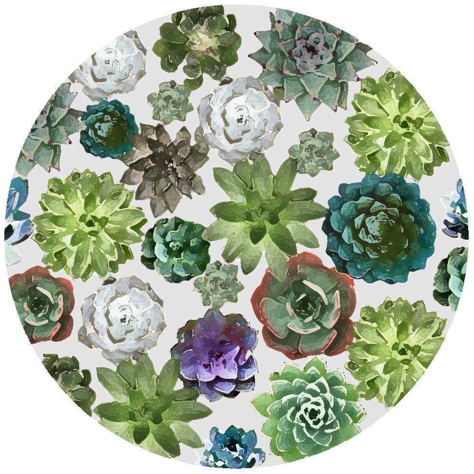 Succulant
