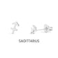 18K Gold PVD Stainless Steel Zodiac Stud Earrings
