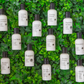 2oz Goat Milk Lotion