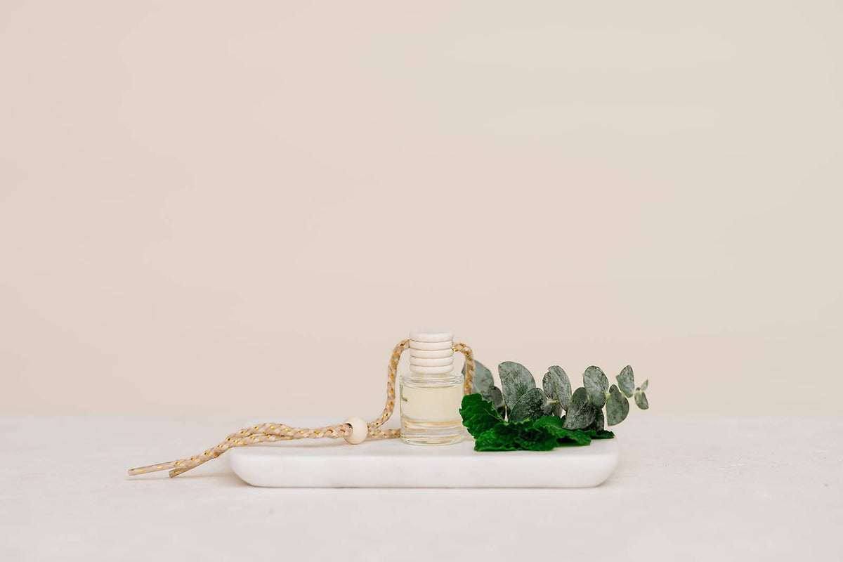 Eucalyptus Mint Car Diffuser – Clean & Fresh