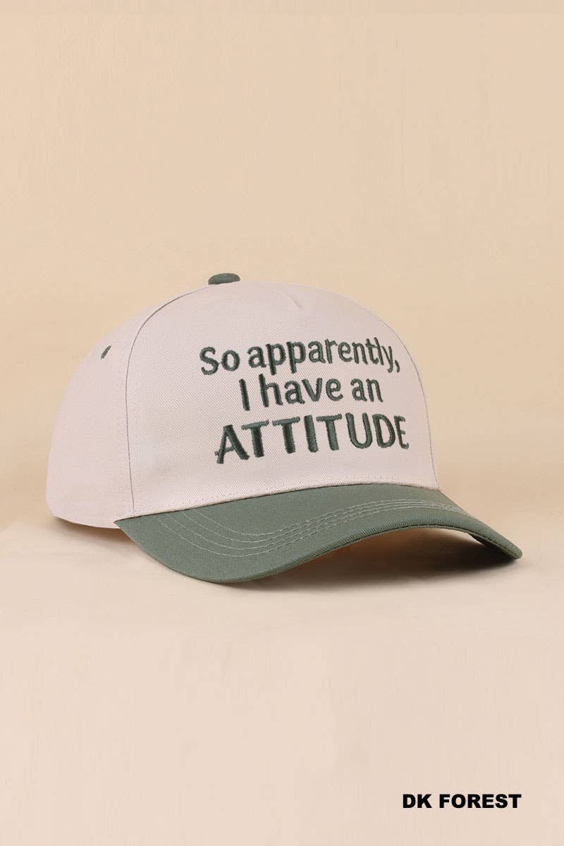 Two Tone Snapback Hat