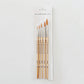 Watercolor paintbrush set of five wood brushes