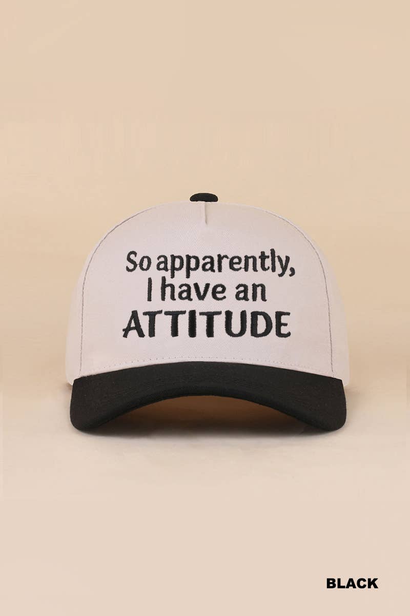 Two Tone Snapback Hat