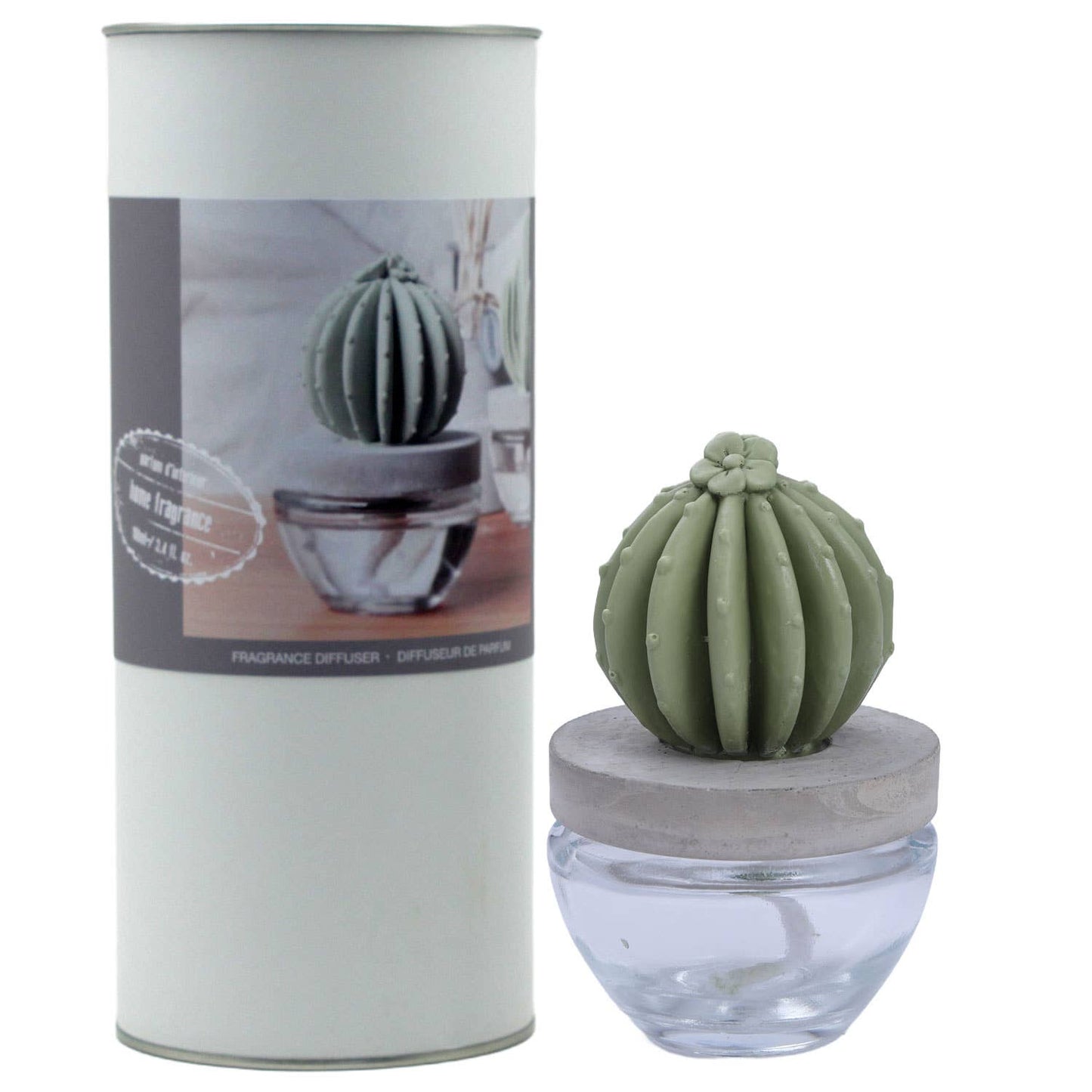 Cactus - Barrel Cactus ceramic diffuser gift set - 100ml