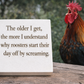 Roosters Reflections and Morning Thoughts- Funny Wood Block Signs – Snarky Shelf &amp; Desk Decor