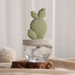 Cactus - Bunny Ear Cactus ceramic diffuser gift set - 100ml