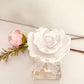 New (2025) Diffuser Sets Sunshine Ceramic set - Rose Petals