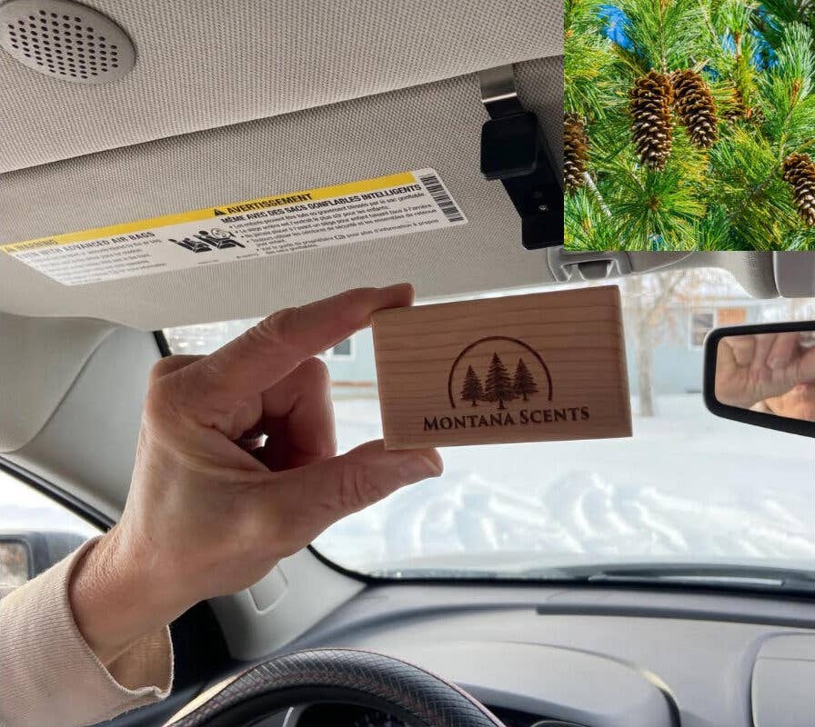 Montana Pine Car Air Freshener 60-Day Forest Scent
