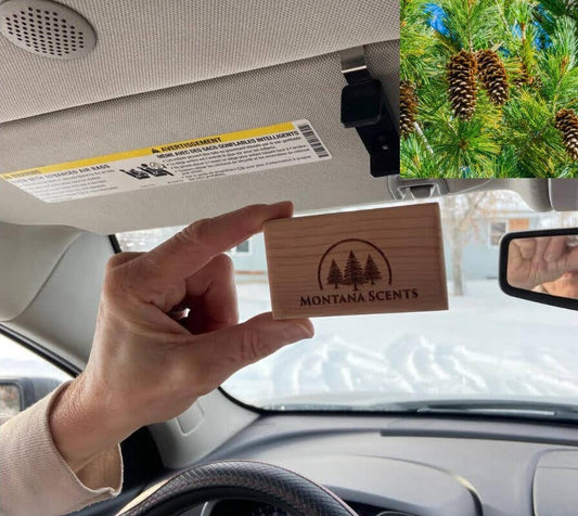 Montana Pine Car Air Freshener 60-Day Forest Scent