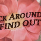 Fuck Around and Find Out - Vinyl Sticker