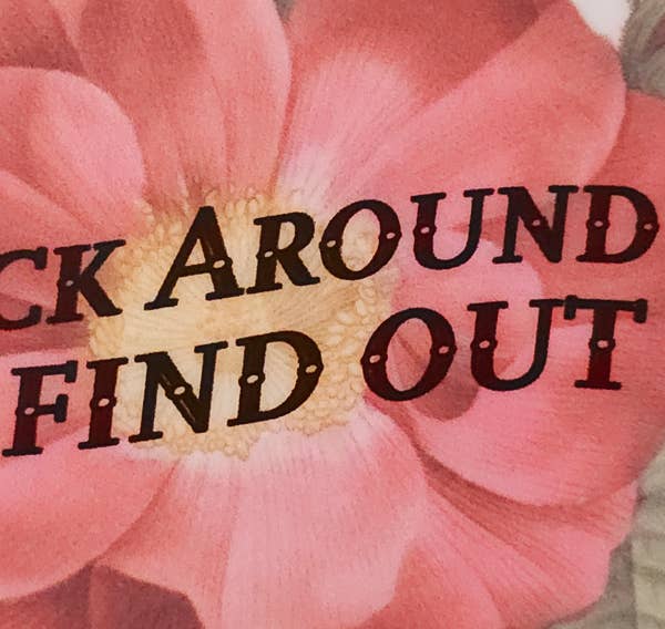 Fuck Around and Find Out - Vinyl Sticker