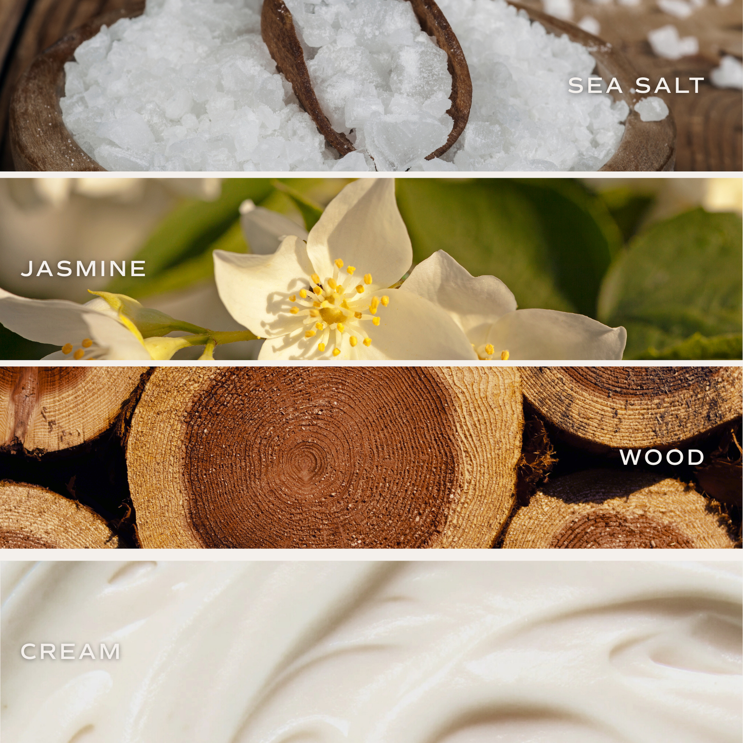 Spa Day Reed Diffuser - Gifts & Home Decor