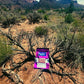 Desert Date Bar