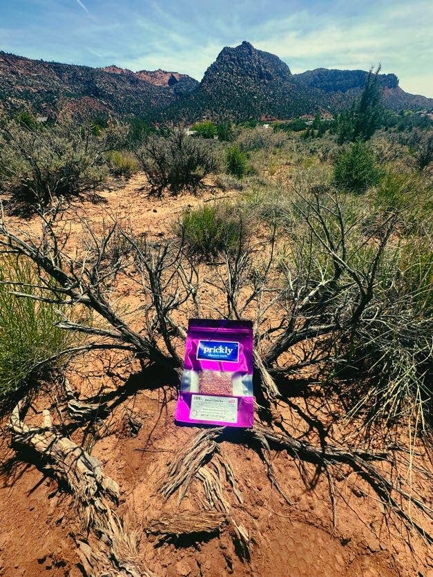 Desert Date Bar