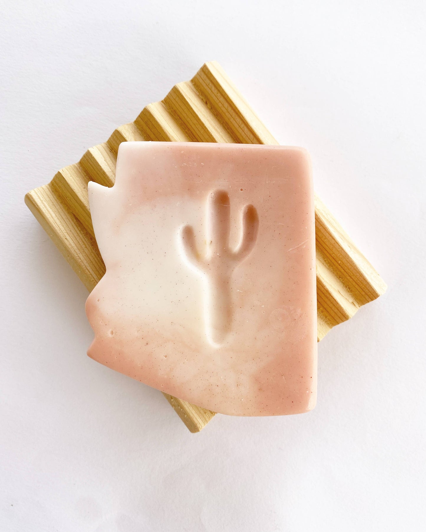 Arizona Cactus Flower