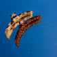 SHINY ORIGINAL HOLD EVERYTHING CLAW ( 22  COLORS)