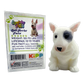 So Much Fun! Squishy Pets Keepsake Assortment - 12/Display