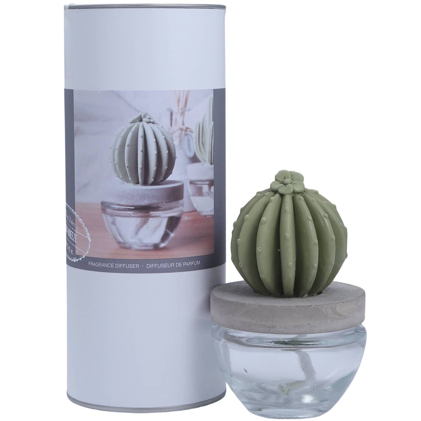 Cactus Ceramic Diffuser Gift Set - 100ml/3.38fl oz for Decor