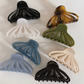 Glossy Shell Shape Claw Clips (CUHO)