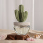 Cactus - Saguaro Cactus ceramic diffuser gift set -100ml