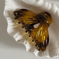 Glossy Shell Shape Claw Clips (CUHO)