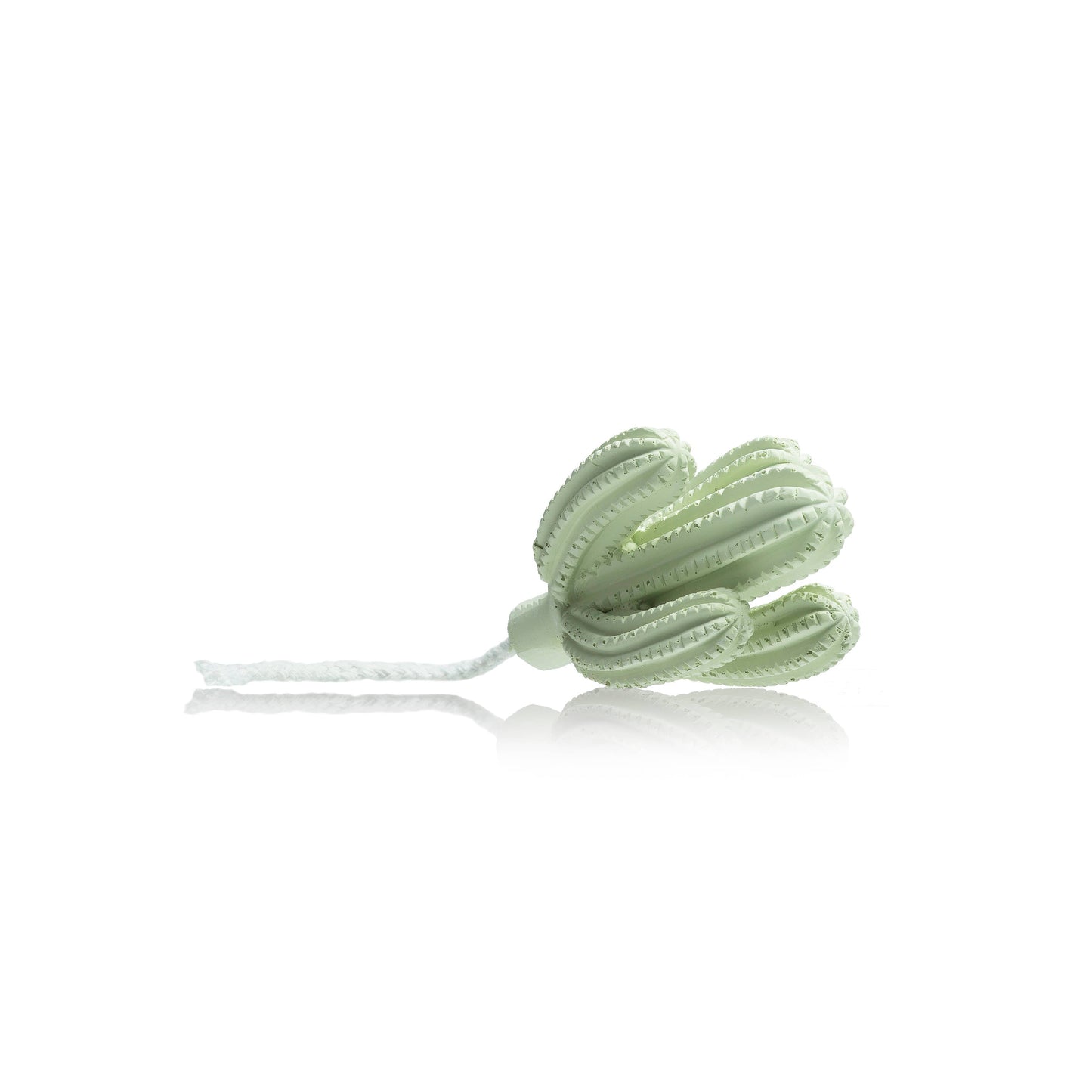 Cactus Ceramic Diffuser Gift Set - 100ml/3.38fl oz for Decor