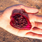 Prickly Pear Cactus Fruit Leather