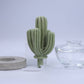 Cactus - Saguaro Cactus ceramic diffuser gift set -100ml
