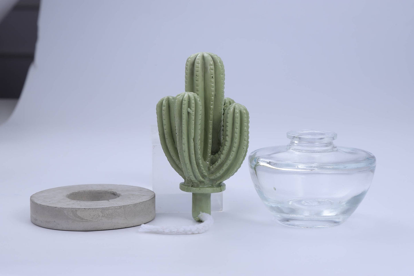 Cactus Ceramic Diffuser Gift Set - 100ml/3.38fl oz for Decor